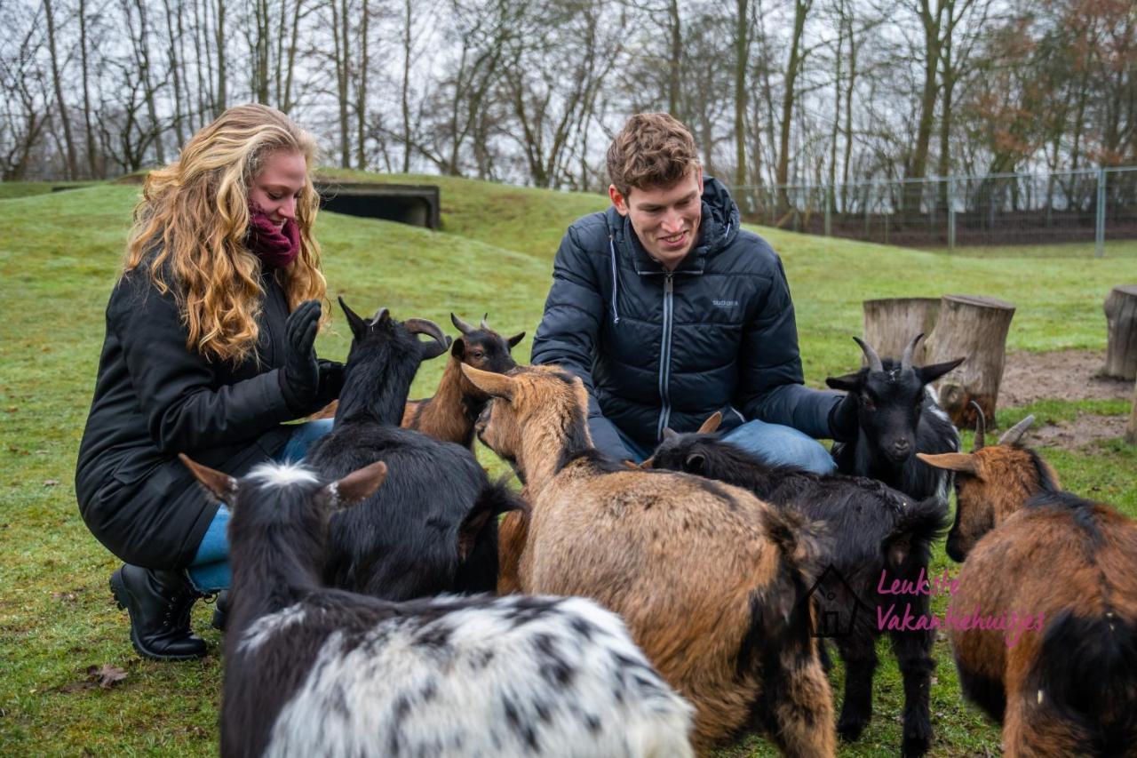 Het Familie Boshuisje - Vakantiewoning Op Prachtig Park Met Veel Faciliteiten Inc Ligbad Gramsbergen Exteriör bild