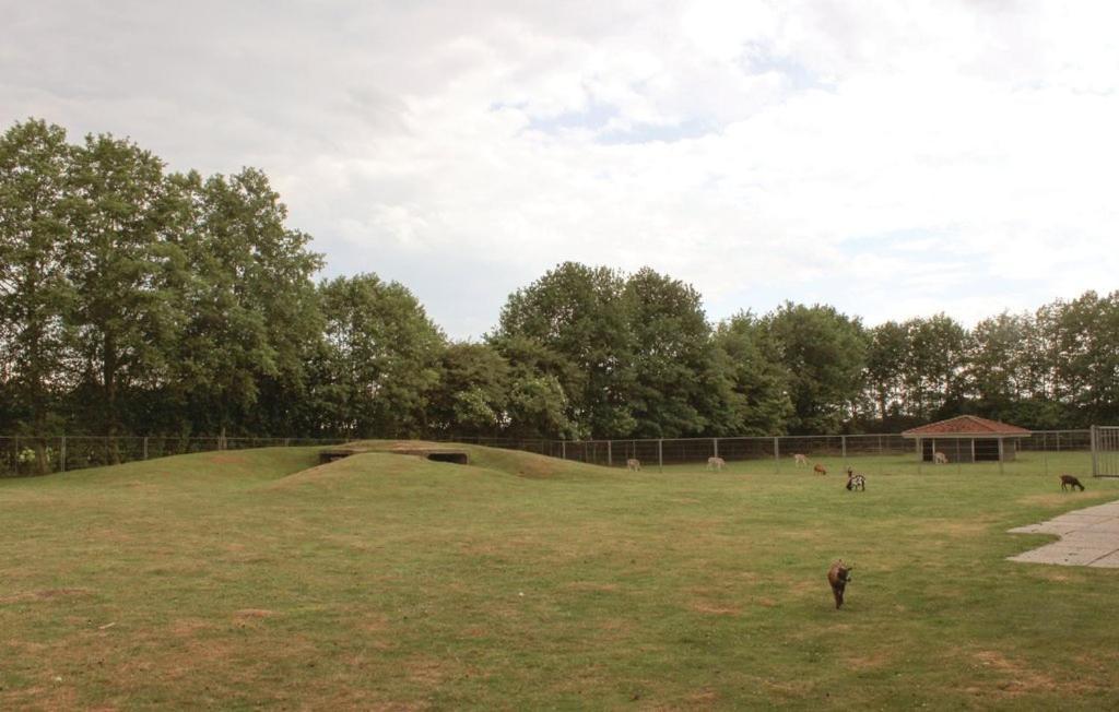 Het Familie Boshuisje - Vakantiewoning Op Prachtig Park Met Veel Faciliteiten Inc Ligbad Gramsbergen Exteriör bild
